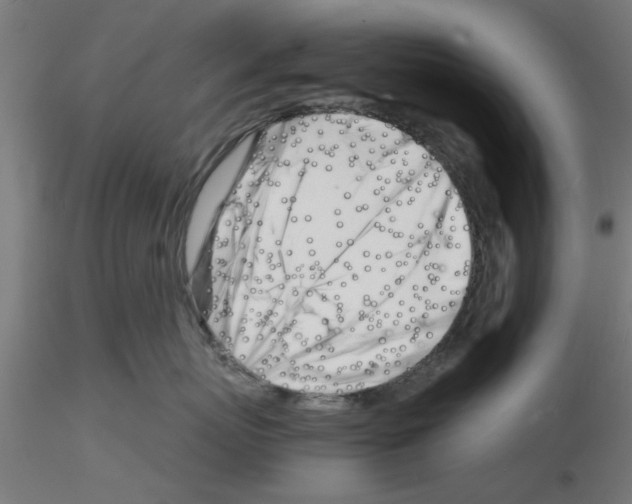 X0000116140767201001041032