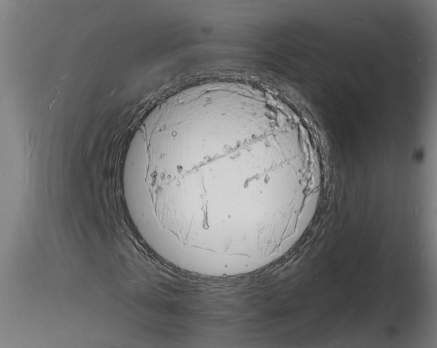 X0000116140769201001041032