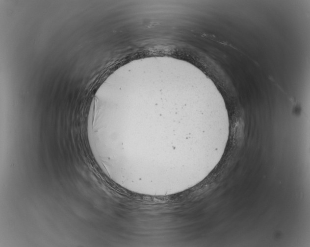 X0000116140772201001041031