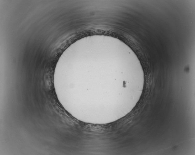 X0000116140774201001041031