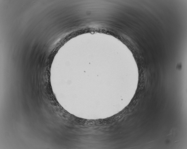 X0000116140776201001041031