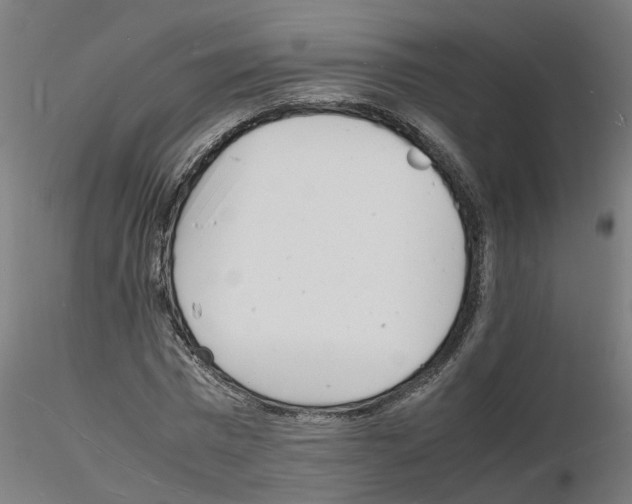 X0000116140777201001041031