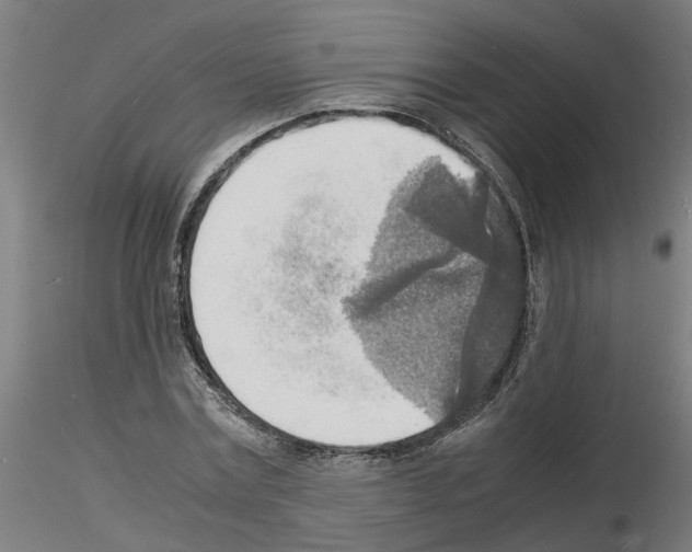 X0000116140779201001041031