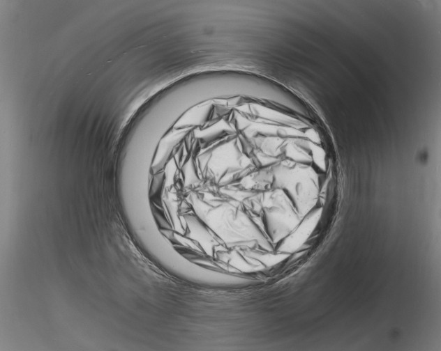 X0000116140781201001041031