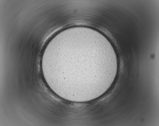 X0000116140782201001041031