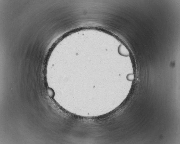 X0000116140783201001041031