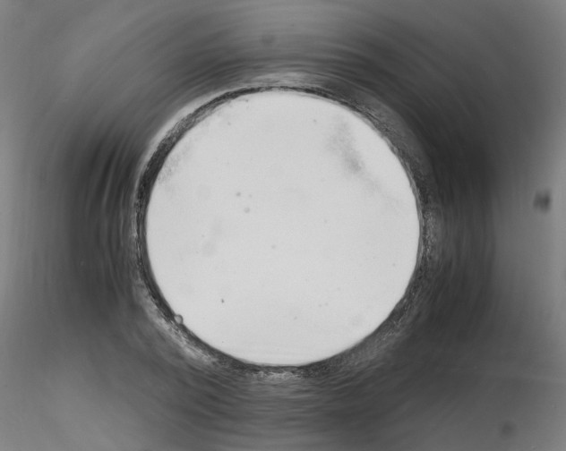 X0000116140784201001041031