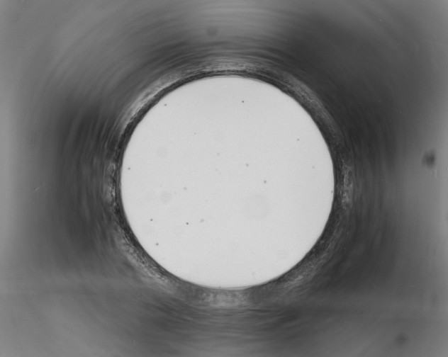 X0000116140786201001041031