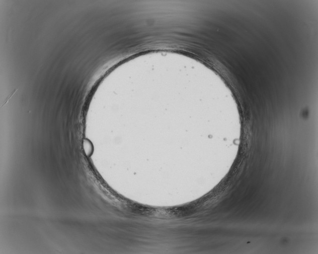 X0000116140787201001041031