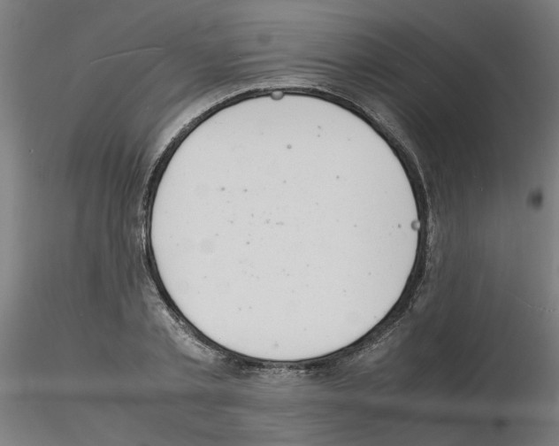 X0000116140789201001041031