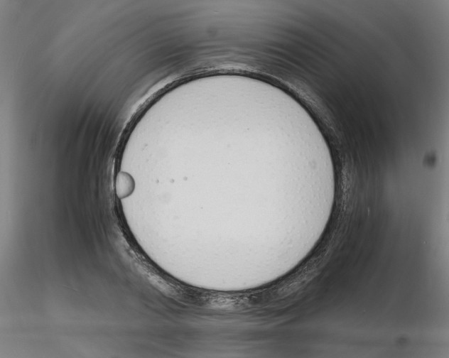 X0000116140790201001041031