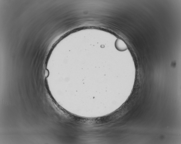 X0000116140791201001041031