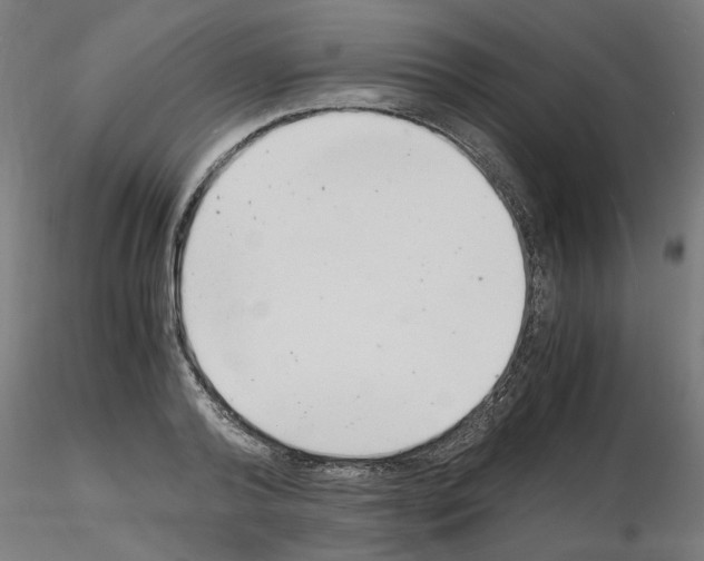 X0000116140792201001041031