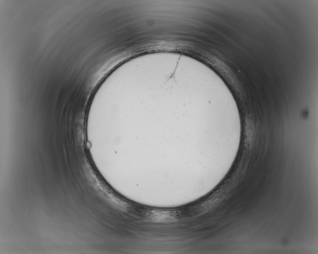 X0000116140794201001041031