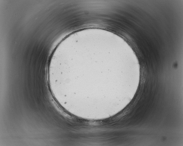 X0000116140796201001041031