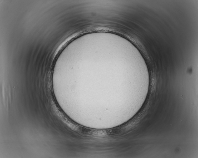 X0000116140798201001041031