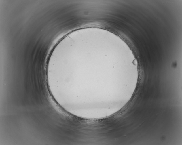 X0000116140800201001041031