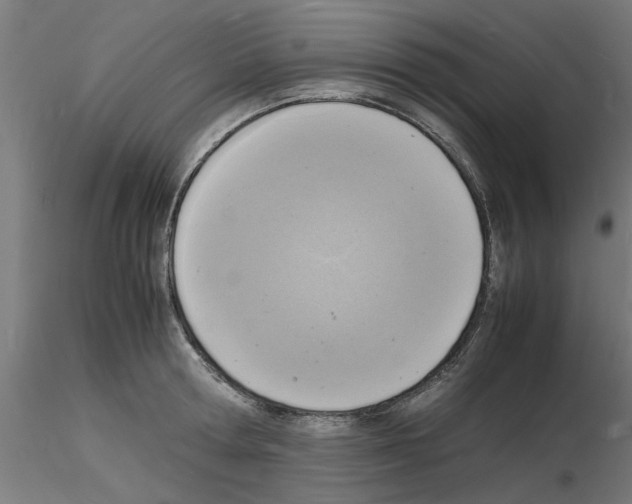 X0000116140802201001041031