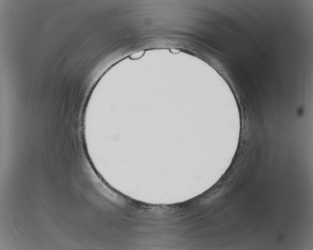 X0000116140803201001041031