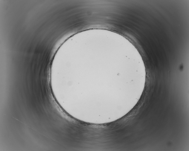 X0000116140804201001041031