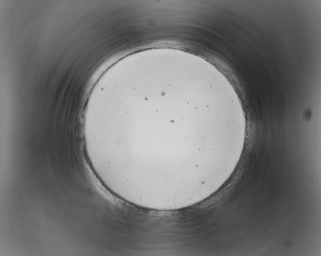 X0000116140808201001041031