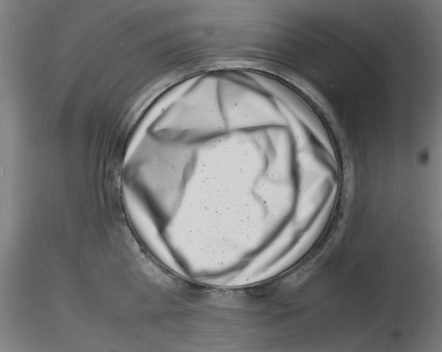 X0000116140809201001041031