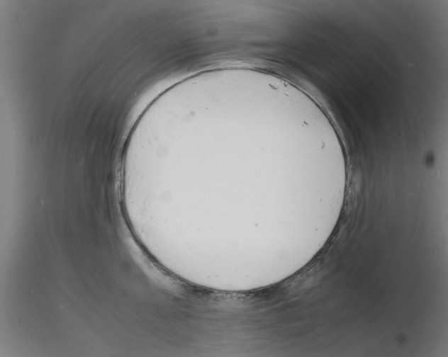 X0000116140811201001041031