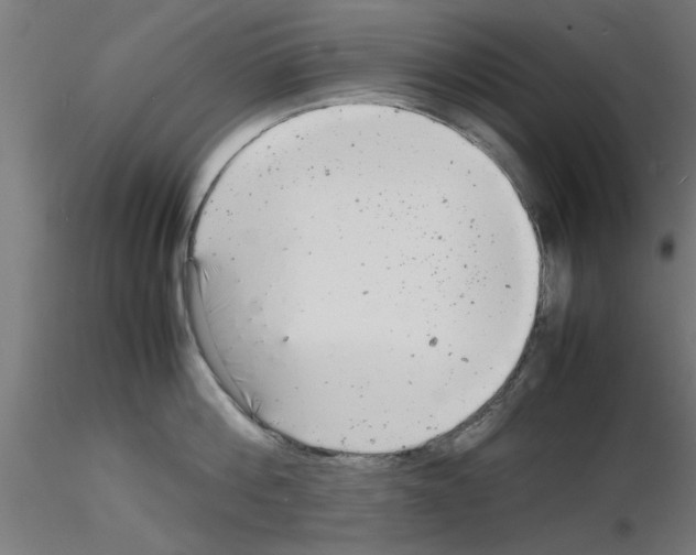 X0000116140812201001041031