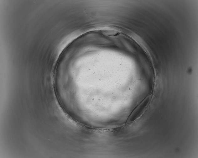 X0000116140813201001041031