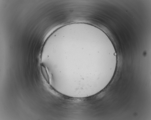 X0000116140814201001041031