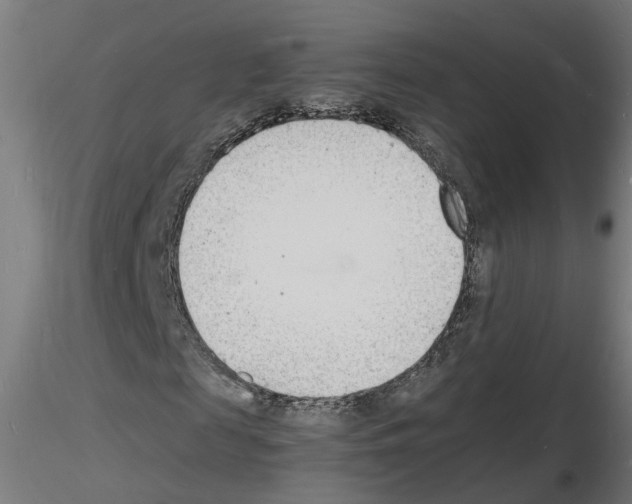 X0000116140817201001041030