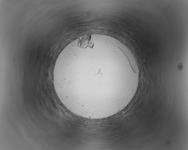 X0000116140820201001041030