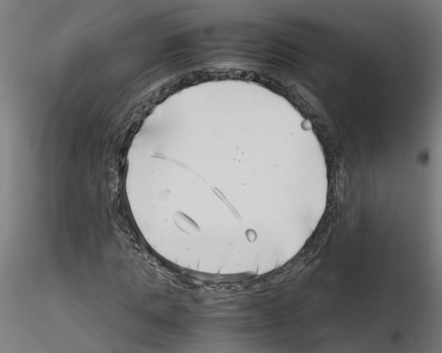 X0000116140821201001041030