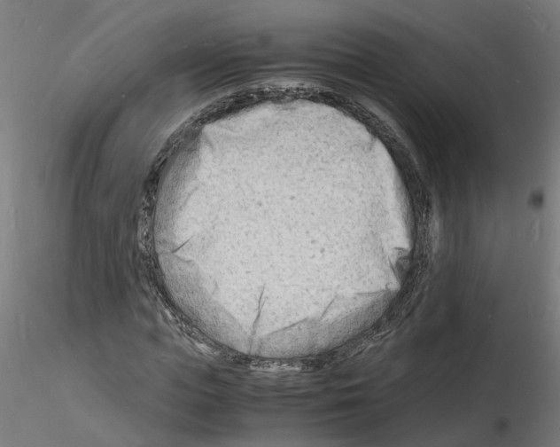 X0000116140823201001041030