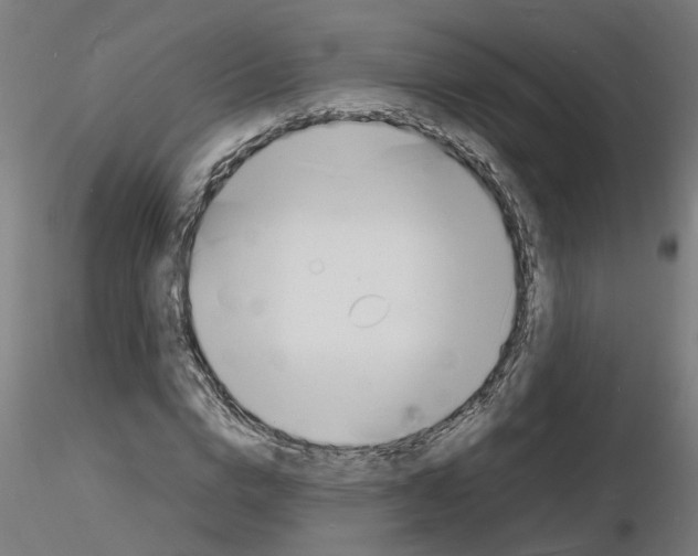 X0000116140824201001041030