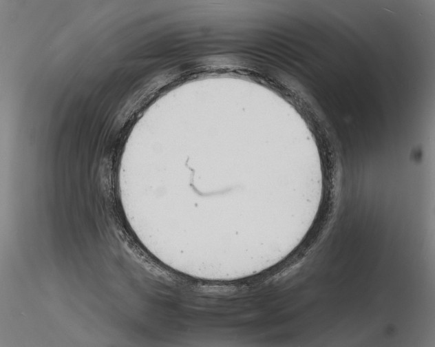 X0000116140825201001041030