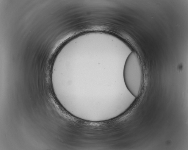 X0000116140827201001041030