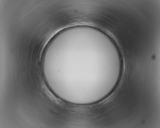 X0000116140828201001041030