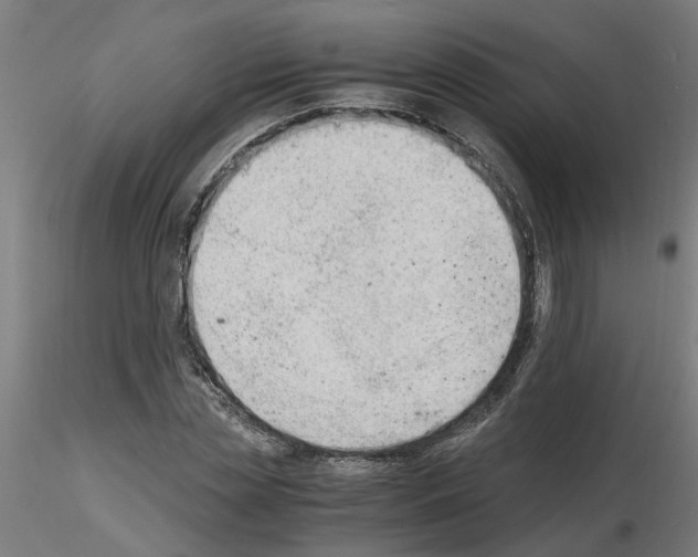 X0000116140829201001041030