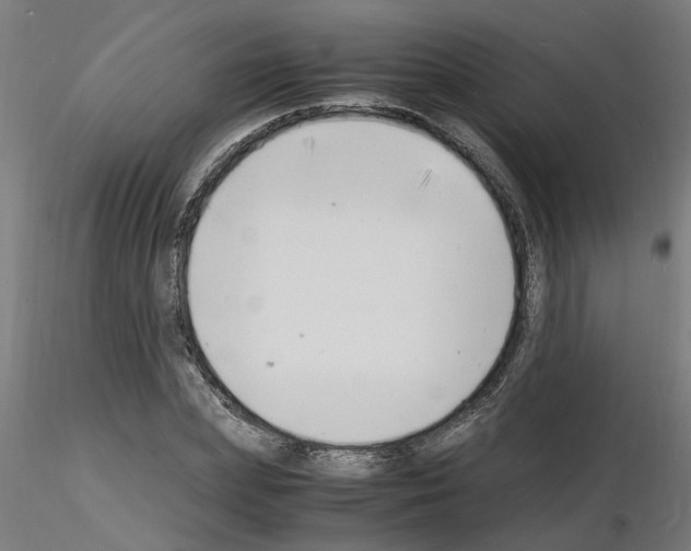 X0000116140831201001041030