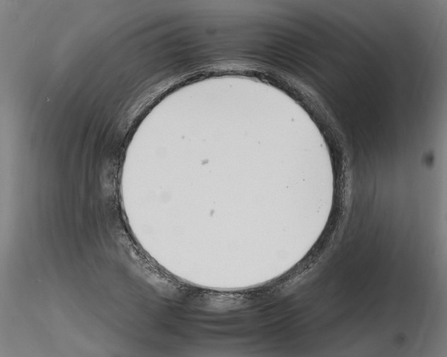 X0000116140833201001041030