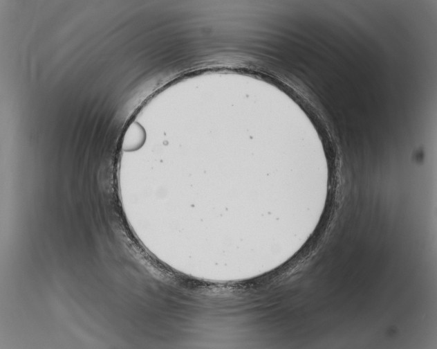 X0000116140834201001041030