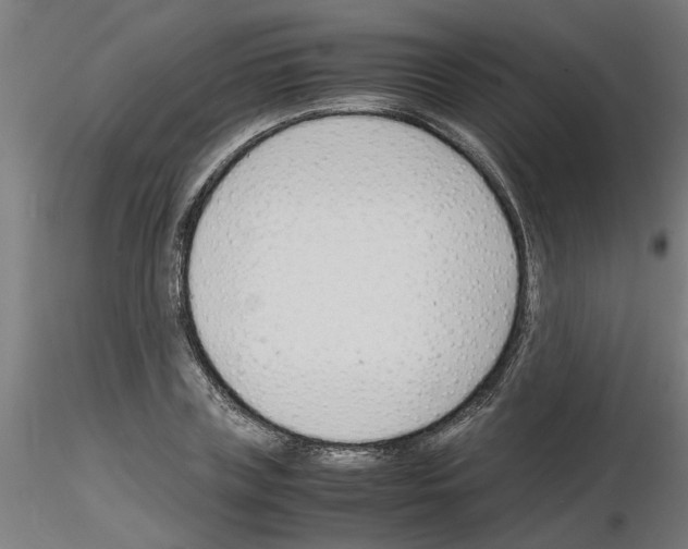 X0000116140835201001041030