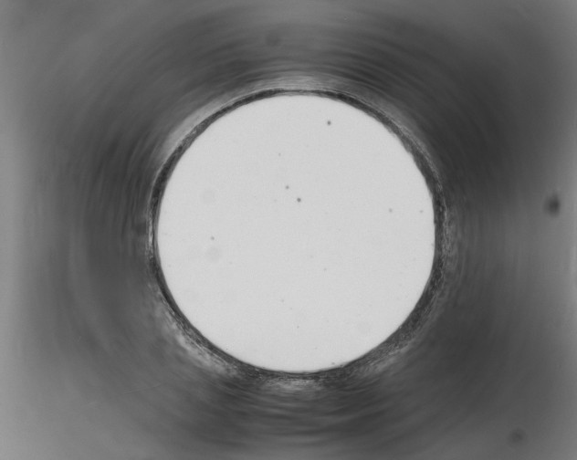 X0000116140837201001041031