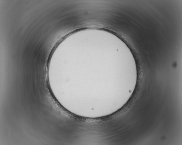 X0000116140840201001041031