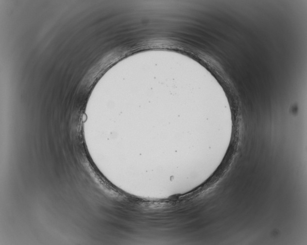 X0000116140841201001041031