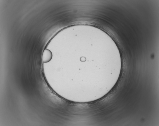 X0000116140844201001041031