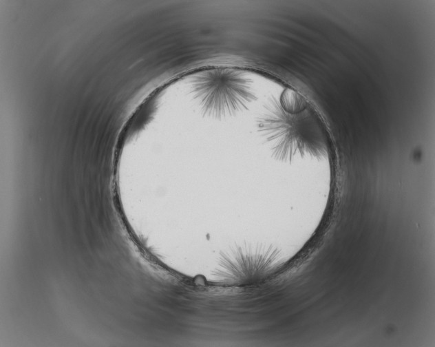 X0000116140845201001041031