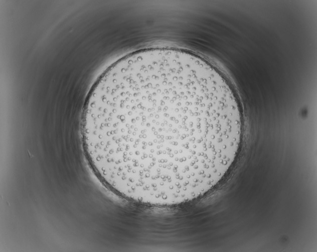 X0000116140847201001041031