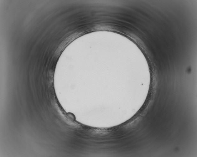 X0000116140849201001041031